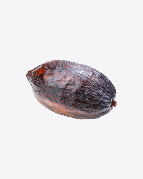 Free Cocoa Fruit