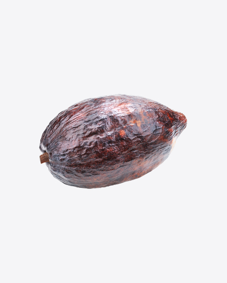 Free Cocoa Fruit