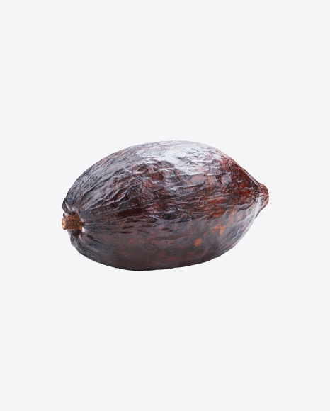 Free Cocoa Fruit