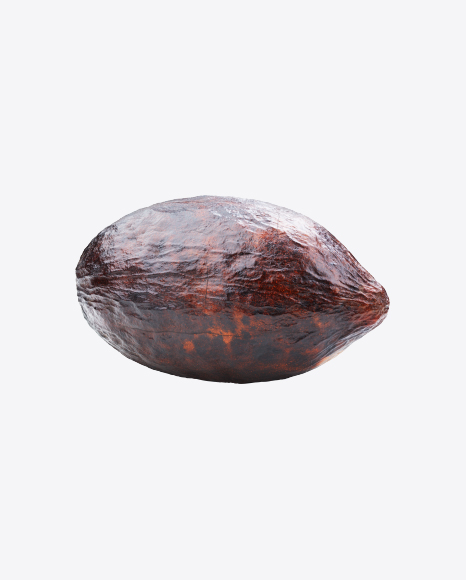 Free Cocoa Fruit