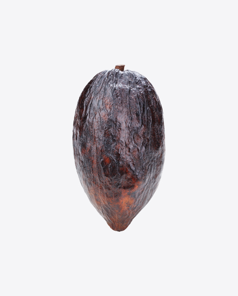 Free Cocoa Fruit