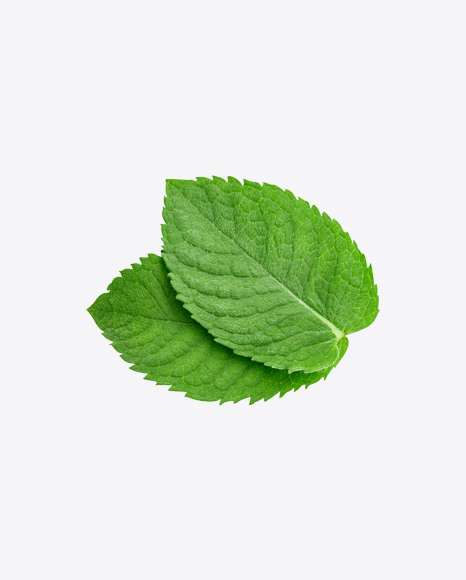 Free Mint Leaves