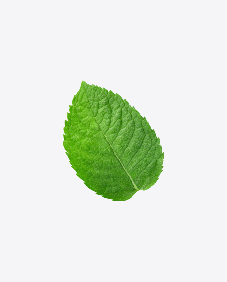 Free Mint Leaf
