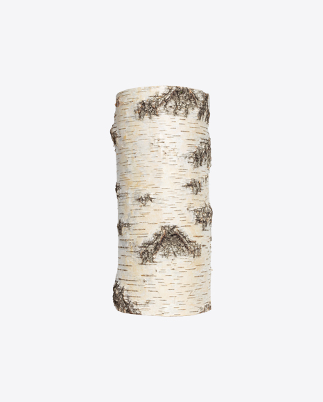Free Birch Stump
