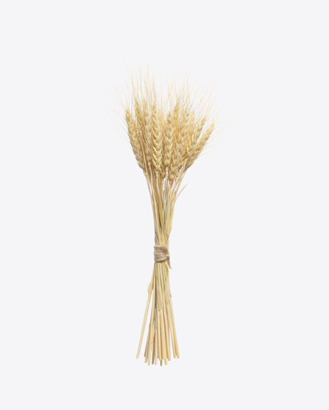 Free Rye Ears Bunch