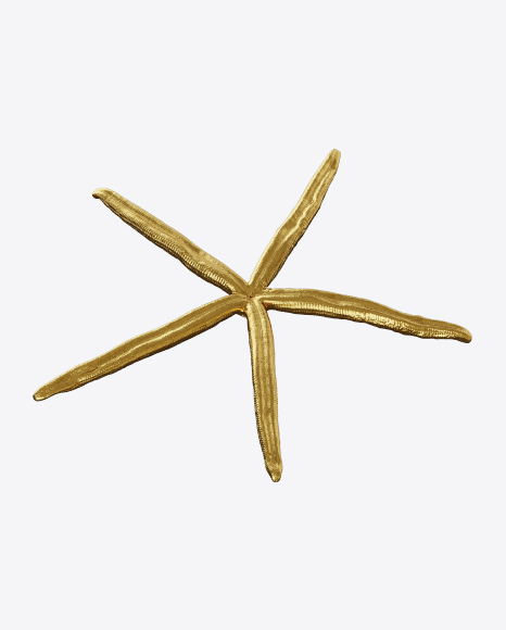Free Gold Sea Star