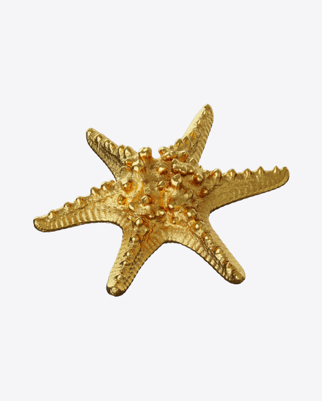 Free Golden Sea Star