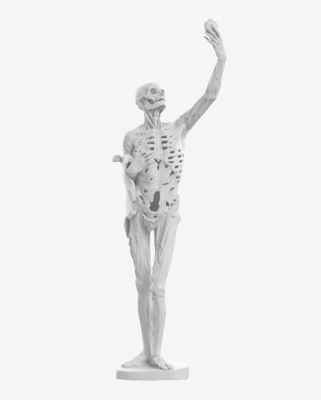 Free Skeleton Sculpture