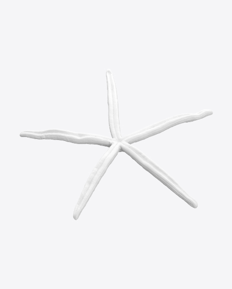 Free Sea Star Sculpture