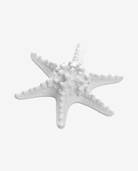 Free Sea Star Sculpture