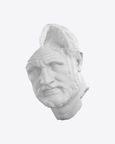 Free Head Sculpture