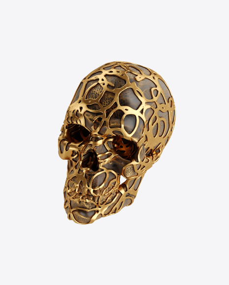 Free Skull with Golden Details
