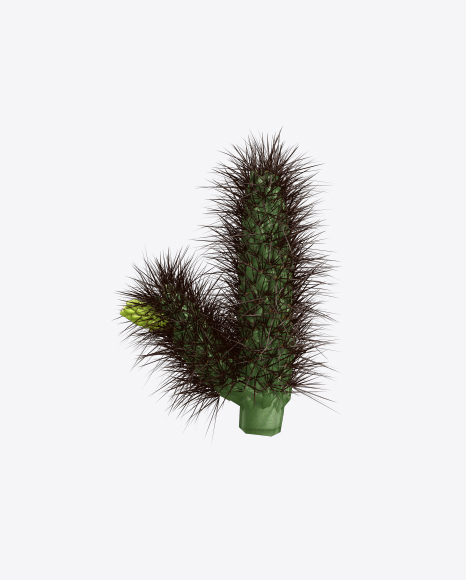 Free Cactus