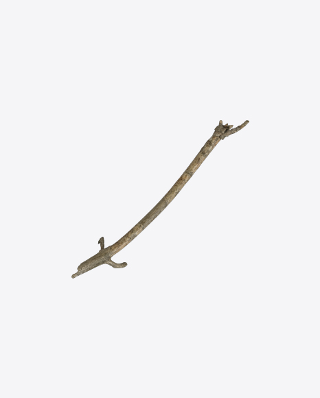 Free Tree Branch
