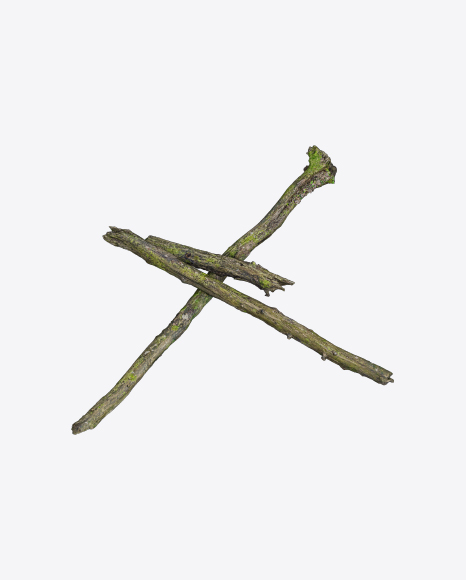 Free Mossy Tree Logs