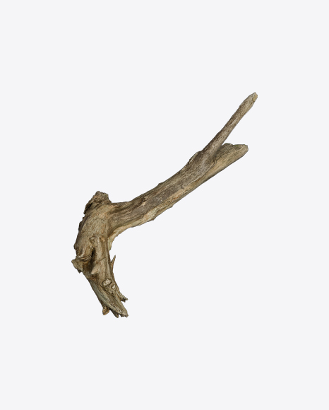 Free Tree Log