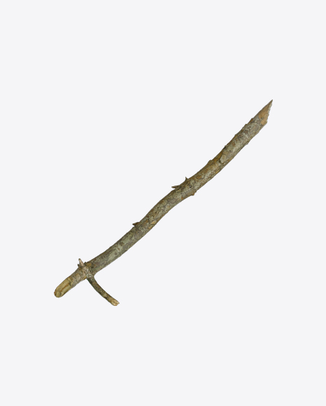 Free Tree Branch