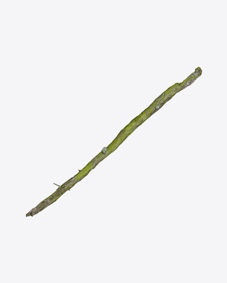 Free Mossy Tree Log