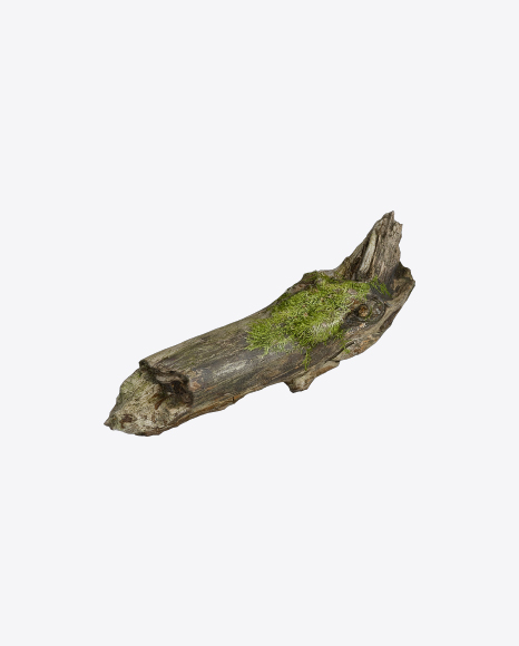 Free Mossy Tree Log