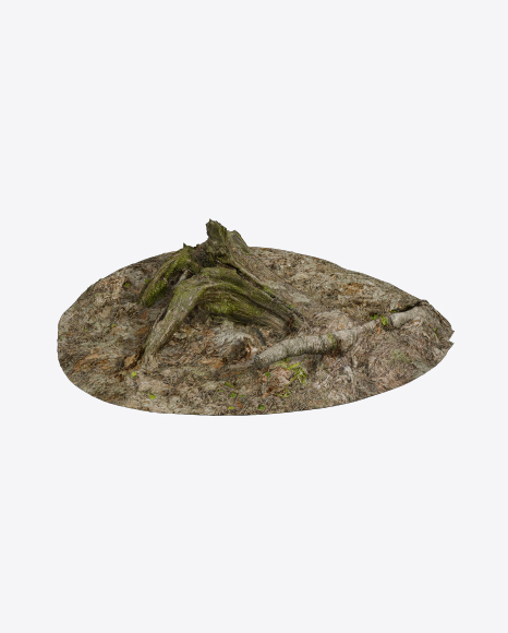 Free Mossy Stump