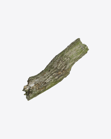 Free Mossy Tree Log