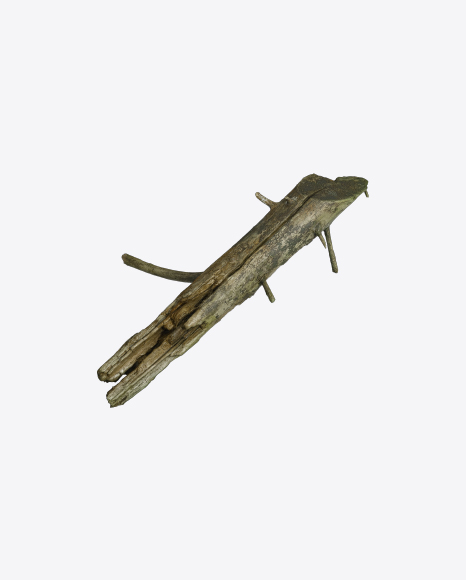 Free Tree Log