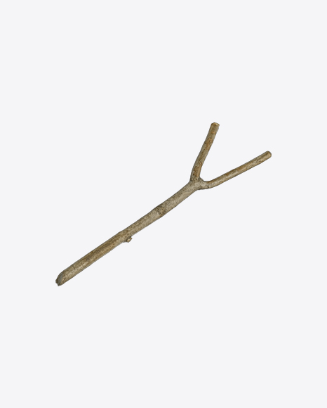 Free Tree Branch