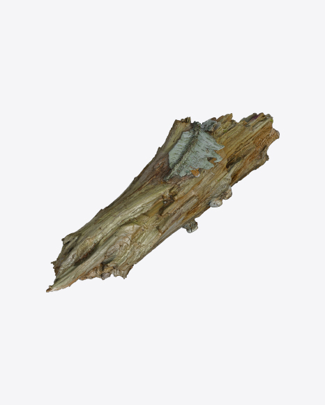 Free Tree Log