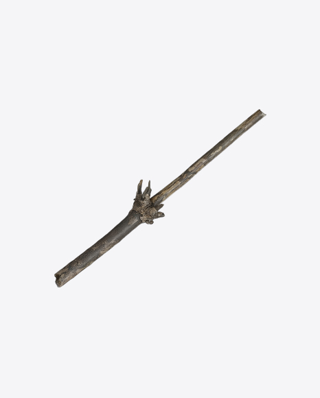 Free Tree Branch