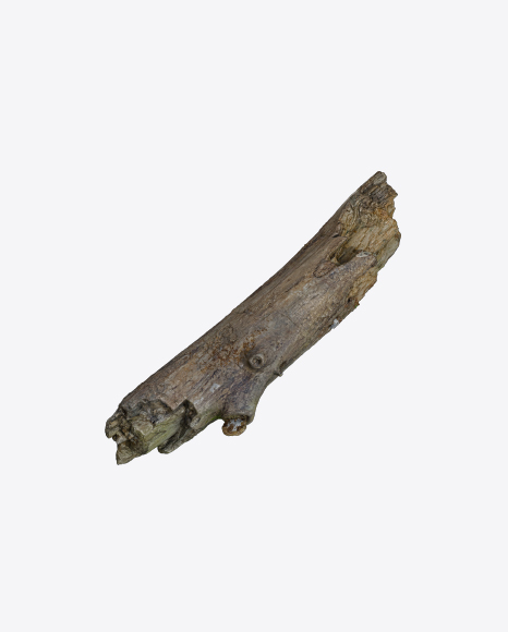Free Tree Log