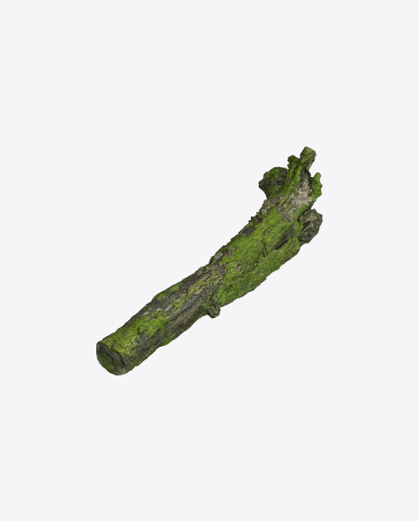 Free Mossy Tree Log