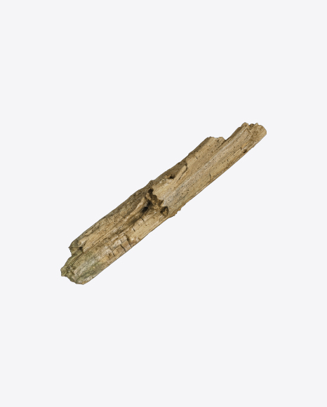 Free Tree Log
