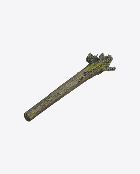 Free Mossy Tree Log