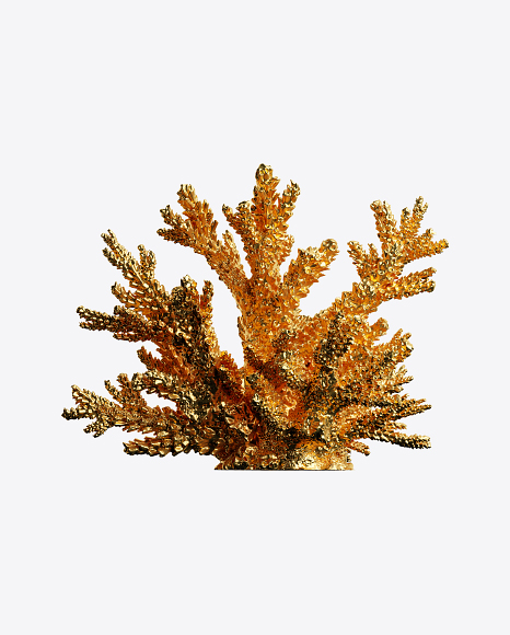 Free Gold Coral