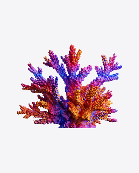 Free Vibrant Coral